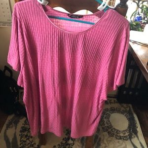 Reference Point pink shirt 2x